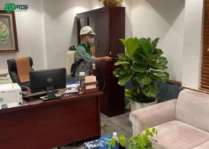 Có nên phun khử khuẩn thường xuyên không 